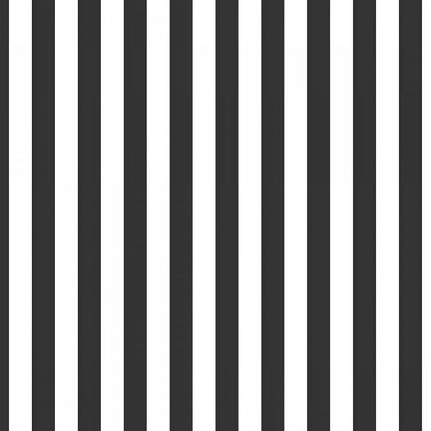 1/2" Stripe Black