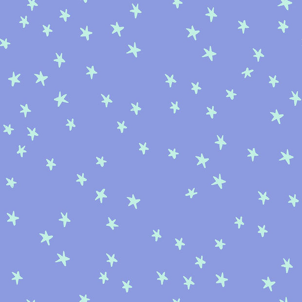 Starry Dusk