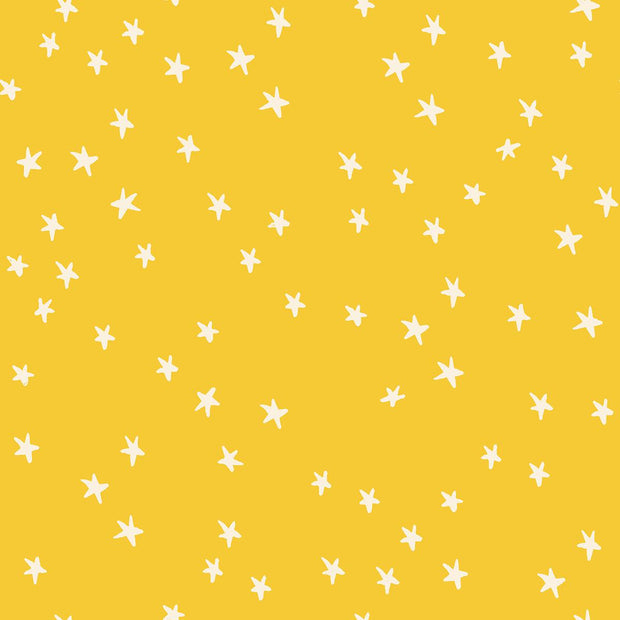 Starry Sunshine