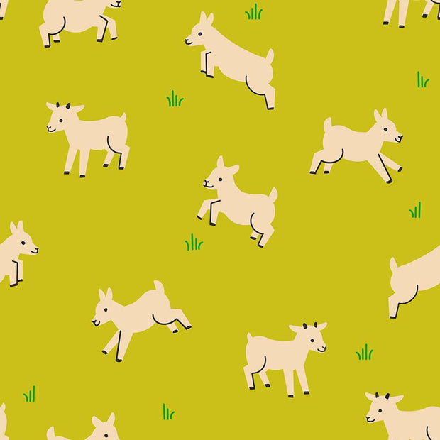 Animal Animal Baby Goats Pistachio