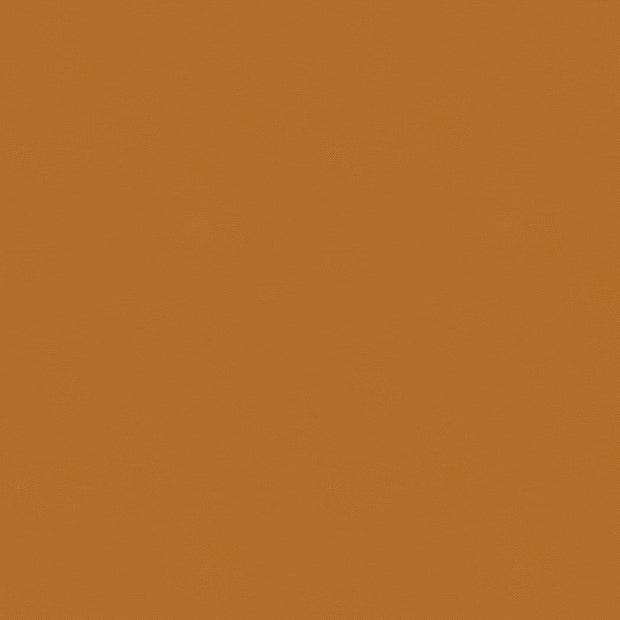 Bella Solids Pumpkin