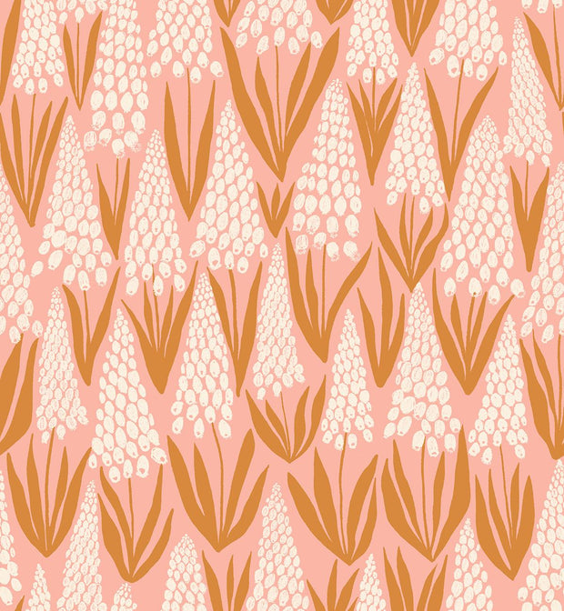 Endpaper Muscari Bashful