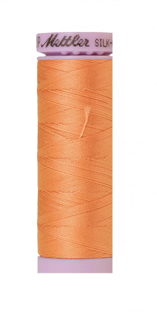 9105-1522 Shell Coral