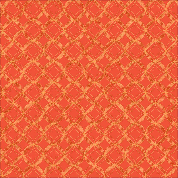 Foundation 2 Appeal Coral