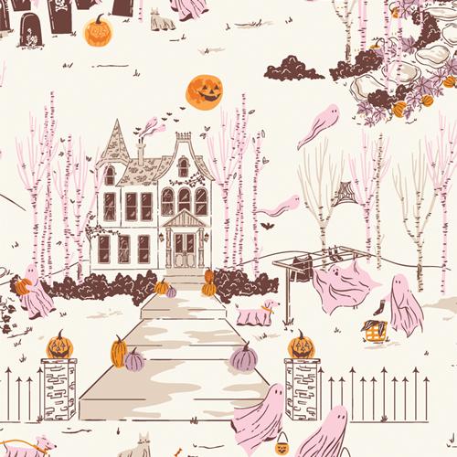 Ghostly & Haunted Ghost Town