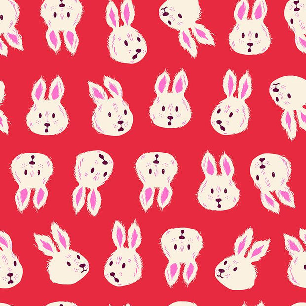 Hello Alice Rushing Rabbit Ruby