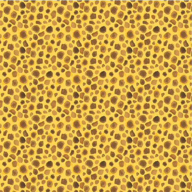 King of the Jungle First Spots Golden