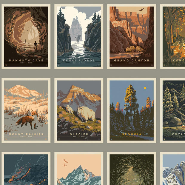 National Parks Postcards Gray