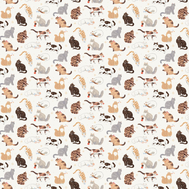 Paws & Play Cats Cream