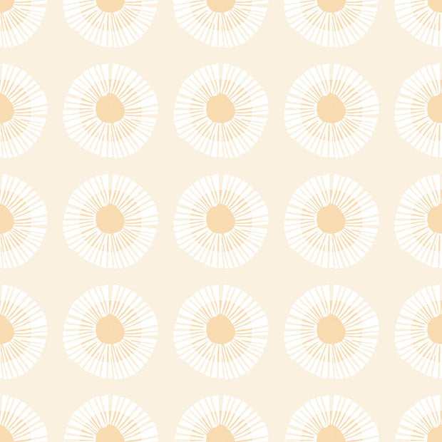 Reimagined Landscapes Seaside Daisy Natural