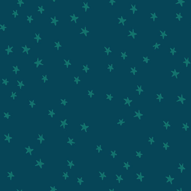 Starry Galaxy