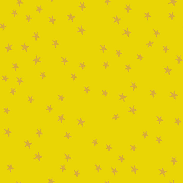 Starry Golden Hour