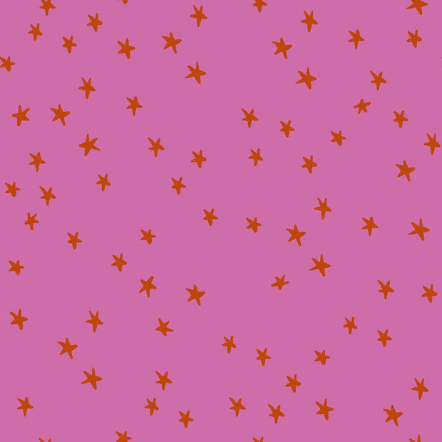 Starry Heliotrope
