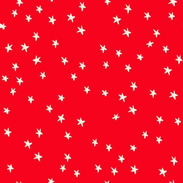 Starry Ladybug