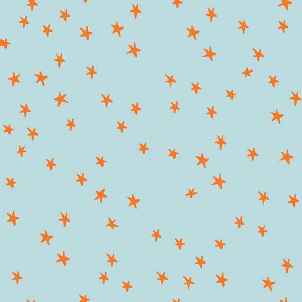 Starry Polar