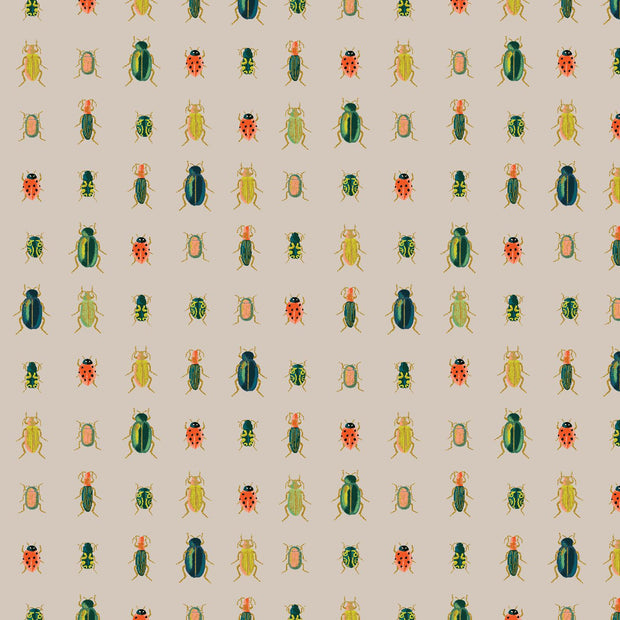Curio Beetles & Bugs Khaki