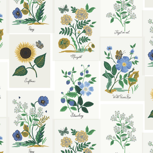 Curio Botanical Prints Blue Multi