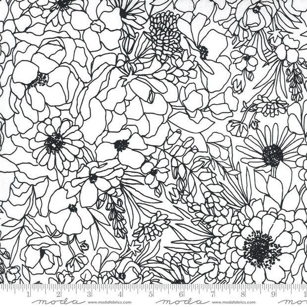 Illustrations Modern Florals Paper