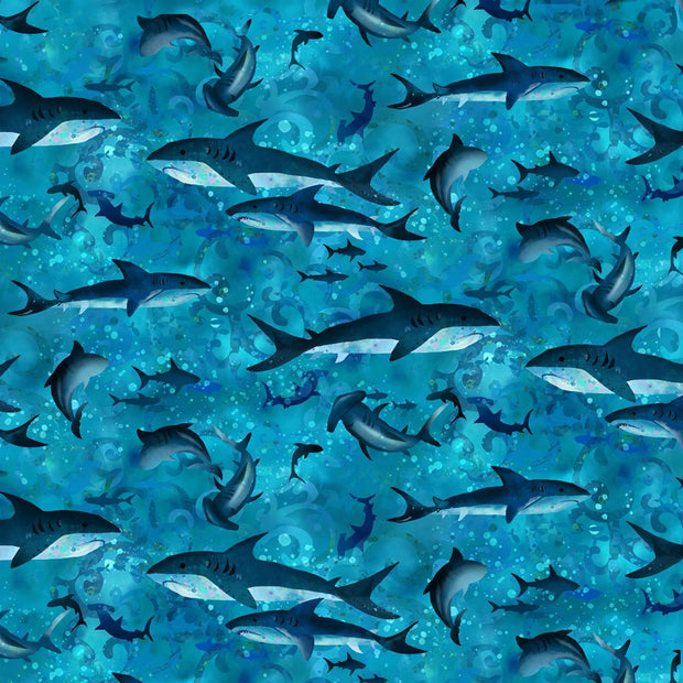 Ocean State Medium Blue Sharks