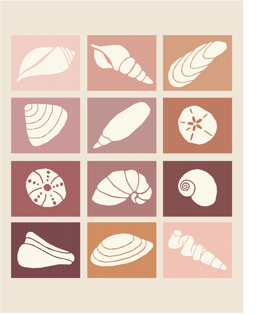 Shoreline Shells Block of the Month – Sewing Arts