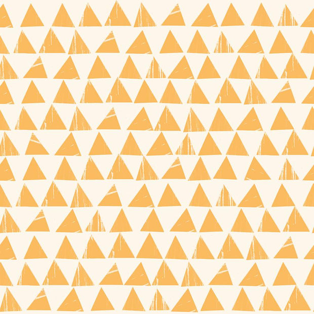 Sketchbook Triangles Cantaloupe