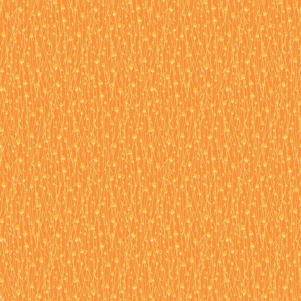 Splendor Dry Flowers Orange